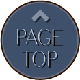 pagetop